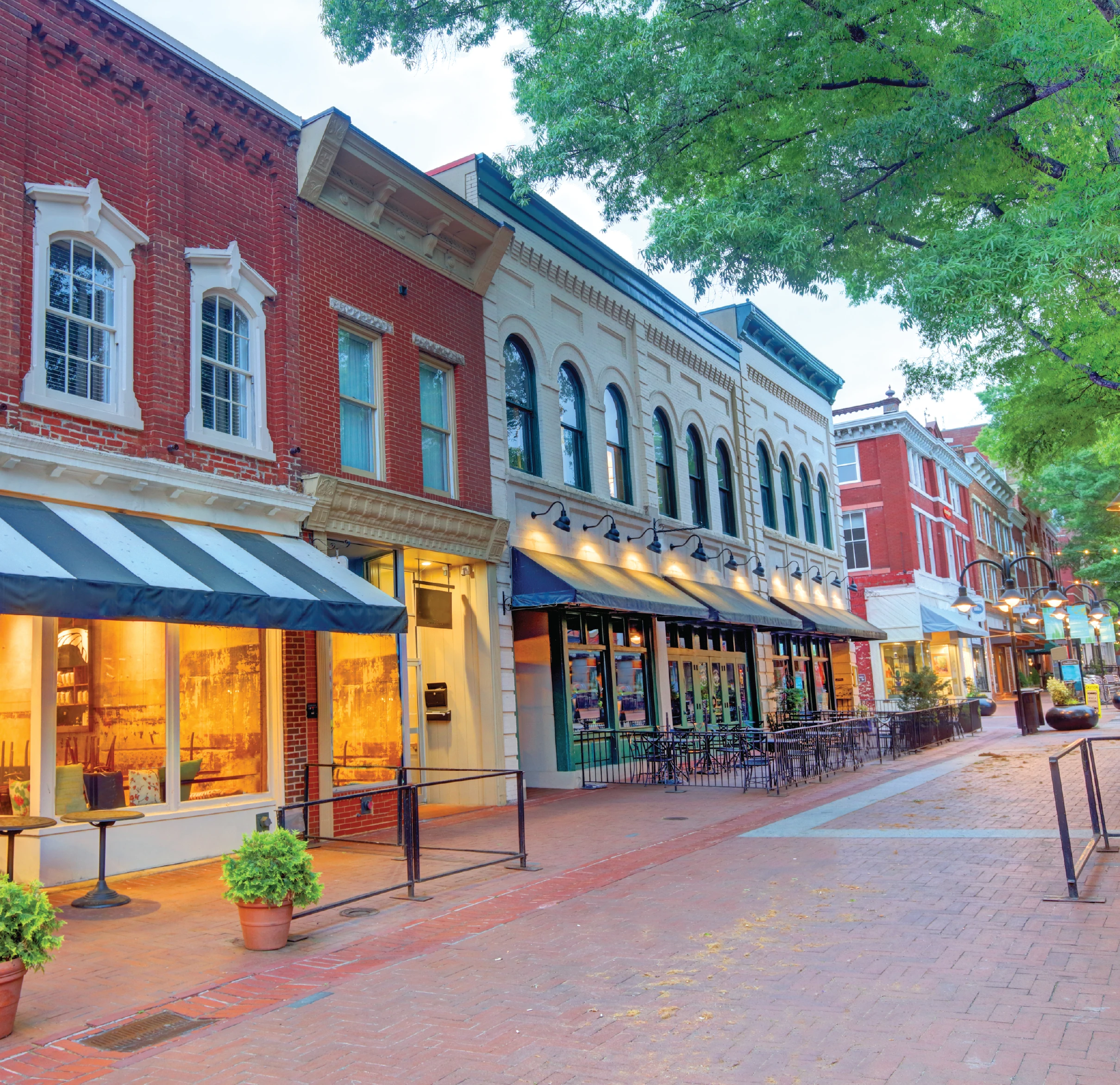 Why Charlottesville Businesses <br><span class="fw-light">Trust Segra </span>